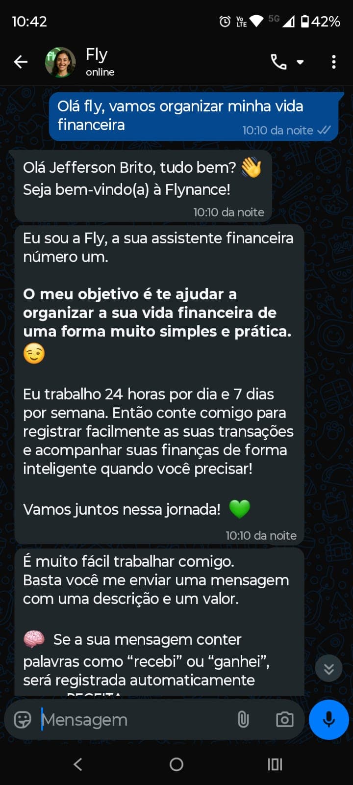 Conversa no WhatsApp: a Fly explica como registrar transações por mensagem